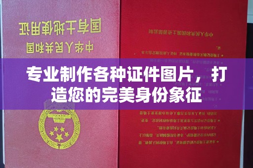 三沙专业制作各种证件图片，打造您的完美身份象征